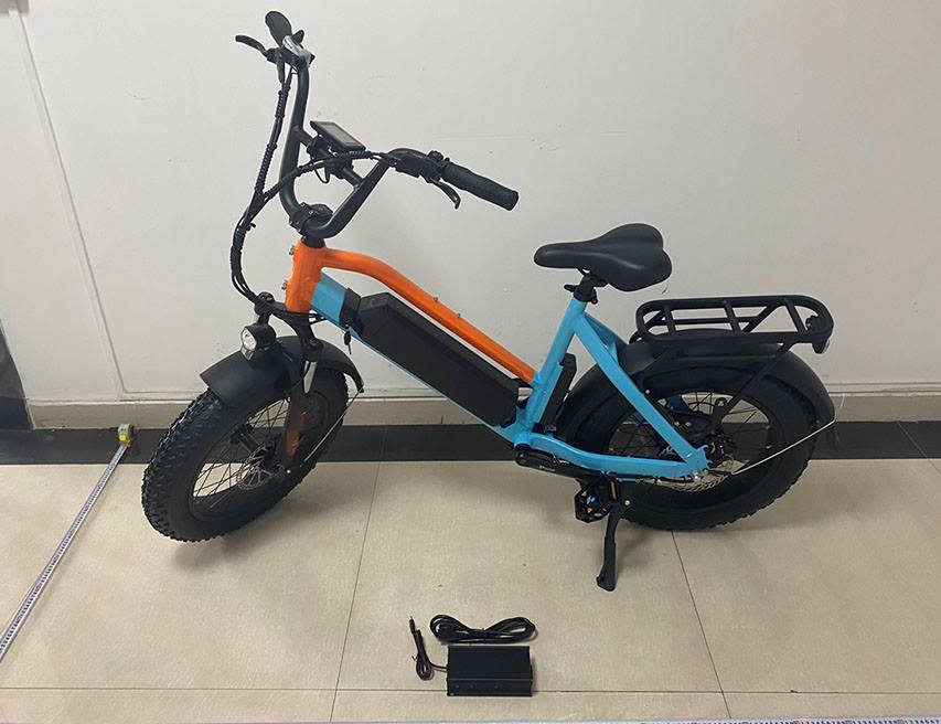 自行车相助案例23_电动自行车_相助案例_永利yl23455检测
