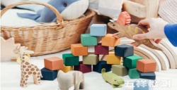 亚马逊差别国家|玩具规则要求指南